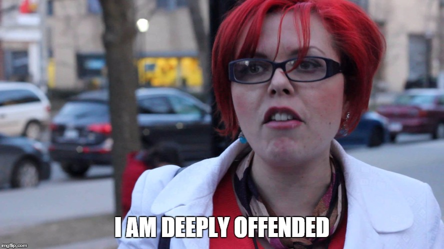 I AM DEEPLY OFFENDED | image tagged in feminazi | made w/ Imgflip meme maker