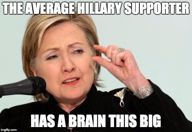 Hillary Supporters | THE AVERAGE HILLARY SUPPORTER HAS A BRAIN THIS BIG | made w/ Imgflip meme maker