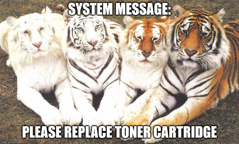 SYSTEM MESSAGE: PLEASE REPLACE TONER CARTRIDGE | image tagged in tiger,printer,toner | made w/ Imgflip meme maker