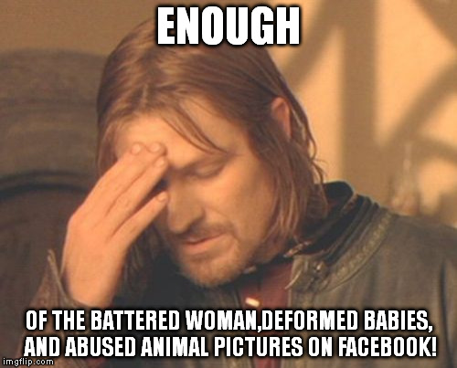 Frustrated Boromir Meme | ENOUGH OF THE BATTERED WOMAN,DEFORMED BABIES, AND ABUSED ANIMAL PICTURES ON FACEBOOK! | image tagged in memes,frustrated boromir | made w/ Imgflip meme maker