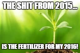 THE SHIT FROM 2015... IS THE FERTILIZER FOR MY 2016! | image tagged in inspirational quote | made w/ Imgflip meme maker