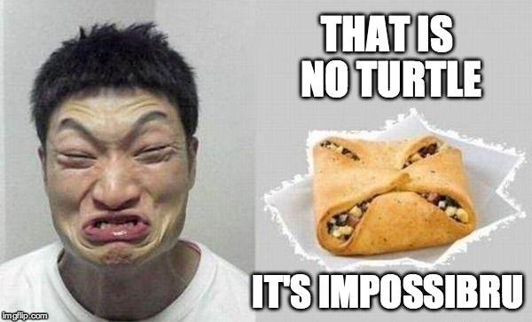 THAT IS NO TURTLE IT'S IMPOSSIBRU | made w/ Imgflip meme maker
