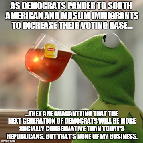 But That's None Of My Business Meme | AS DEMOCRATS PANDER TO SOUTH AMERICAN AND MUSLIM IMMIGRANTS TO INCREASE THEIR VOTING BASE... ...THEY ARE GUARANTYING THAT THE NEXT GENERATIO | image tagged in memes,but thats none of my business,kermit the frog | made w/ Imgflip meme maker