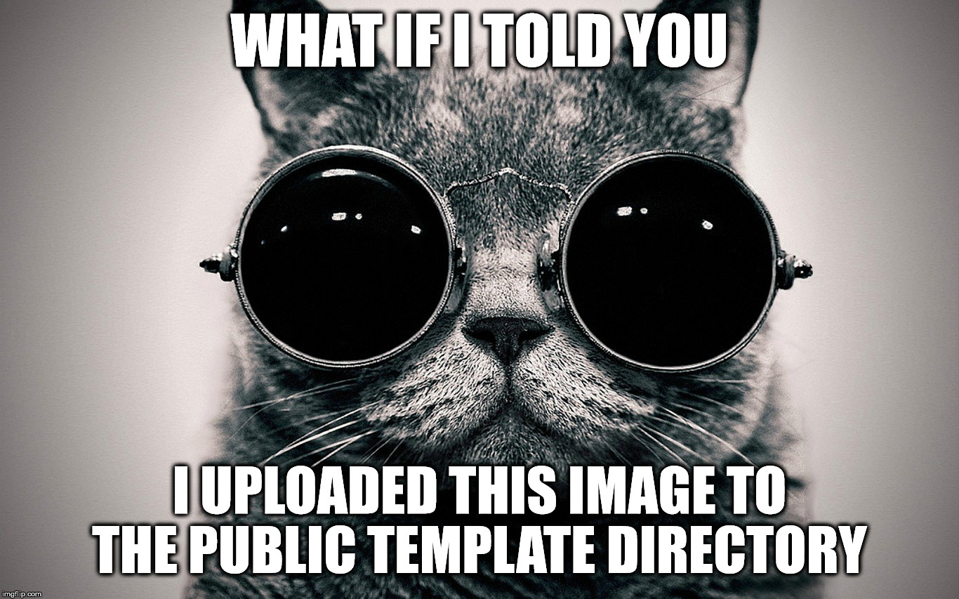 WHAT IF I TOLD YOU I UPLOADED THIS IMAGE TO THE PUBLIC TEMPLATE DIRECTORY | image tagged in morpheous cat | made w/ Imgflip meme maker
