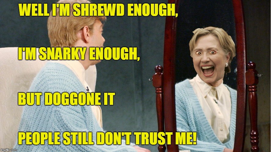 WELL I'M SHREWD ENOUGH, PEOPLE STILL DON'T TRUST ME! I'M SNARKY ENOUGH, BUT DOGGONE IT | made w/ Imgflip meme maker