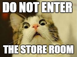 shocked | DO NOT ENTER THE STORE ROOM | image tagged in shocked | made w/ Imgflip meme maker