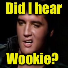 Elvis, thank you | Did I hear Wookie? | image tagged in elvis thank you | made w/ Imgflip meme maker