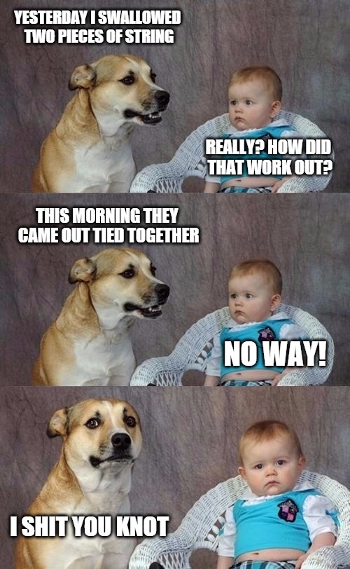 And it's out of there | YESTERDAY I SWALLOWED TWO PIECES OF STRING REALLY? HOW DID THAT WORK OUT? THIS MORNING THEY CAME OUT TIED TOGETHER NO WAY! I SHIT YOU KNOT | image tagged in dad joke dog 2 | made w/ Imgflip meme maker