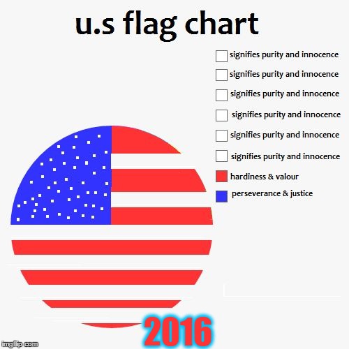 U.S flag pie chart  | 2016 | image tagged in pie charts,memes,flag,usa,america | made w/ Imgflip meme maker