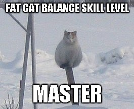 That cat must be studying Kung Fu or something. | FAT CAT BALANCE SKILL LEVEL MASTER | image tagged in fat cat balance,memes,funny,funny animals,funny cat,cats | made w/ Imgflip meme maker