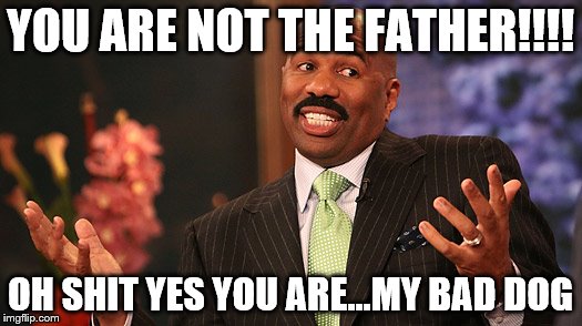 Steve Harvey My bad | YOU ARE NOT THE FATHER!!!! OH SHIT YES YOU ARE...MY BAD DOG | image tagged in steve harvey | made w/ Imgflip meme maker