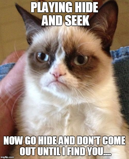 Grumpy Cat Meme | PLAYING HIDE AND SEEK NOW GO HIDE AND DON'T COME OUT UNTIL I FIND YOU.... | image tagged in memes,grumpy cat | made w/ Imgflip meme maker