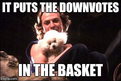IT PUTS THE DOWNVOTES IN THE BASKET | made w/ Imgflip meme maker