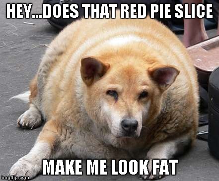 HEY...DOES THAT RED PIE SLICE MAKE ME LOOK FAT | made w/ Imgflip meme maker