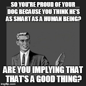 To people who brag about their pets | SO YOU'RE PROUD OF YOUR DOG BECAUSE YOU THINK HE'S AS SMART AS A HUMAN BEING? ARE YOU IMPLYING THAT THAT'S A GOOD THING? | image tagged in memes,kill yourself guy,pets | made w/ Imgflip meme maker