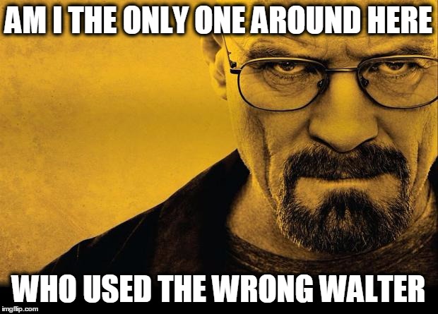 walter white | AM I THE ONLY ONE AROUND HERE; WHO USED THE WRONG WALTER | image tagged in walter white | made w/ Imgflip meme maker