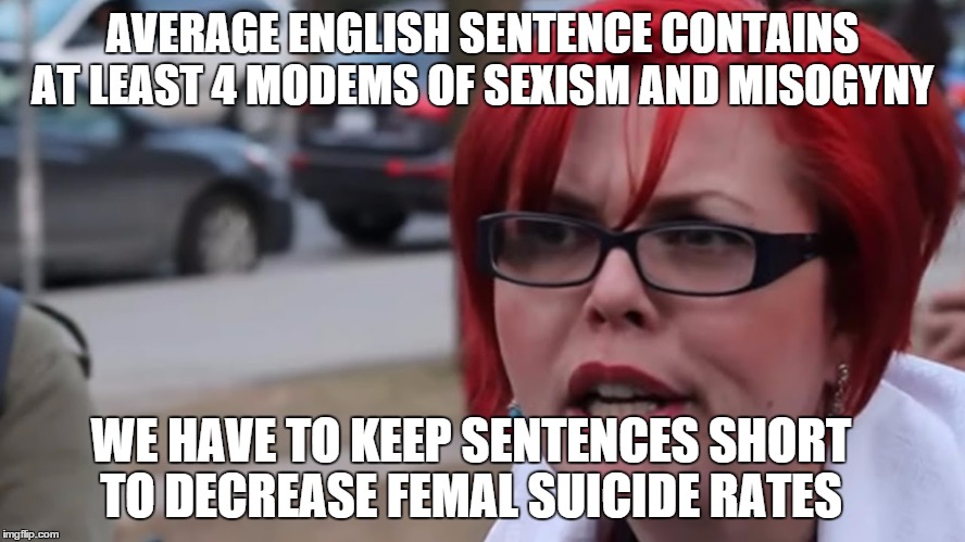 AVERAGE ENGLISH SENTENCE CONTAINS AT LEAST 4 MODEMS OF SEXISM AND MISOGYNY WE HAVE TO KEEP SENTENCES SHORT TO DECREASE FEMAL SUICIDE RATES | made w/ Imgflip meme maker