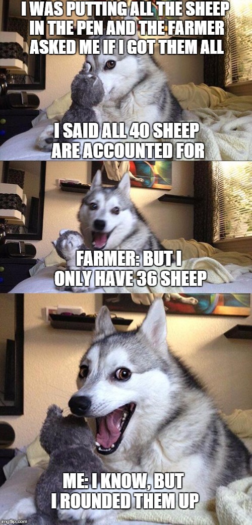 Bad Pun Dog | I WAS PUTTING ALL THE SHEEP IN THE PEN AND THE FARMER ASKED ME IF I GOT THEM ALL; I SAID ALL 40 SHEEP ARE ACCOUNTED FOR; FARMER: BUT I ONLY HAVE 36 SHEEP; ME: I KNOW, BUT I ROUNDED THEM UP | image tagged in memes,bad pun dog,funny memes,funny meme,meme,funny | made w/ Imgflip meme maker