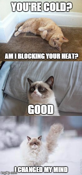 Wizard's cat tip #37: Nothing changes a cats mind like snow | YOU'RE COLD? AM I BLOCKING YOUR HEAT? GOOD; I CHANGED MY MIND | image tagged in memes,funny,grumpy cat,cats,winter | made w/ Imgflip meme maker