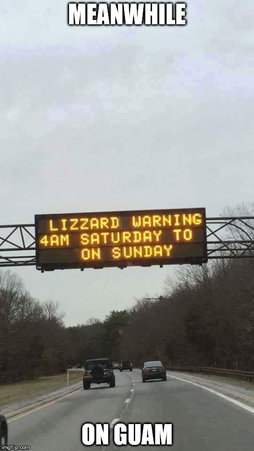 Lizard warning | MEANWHILE; ON GUAM | image tagged in memes | made w/ Imgflip meme maker