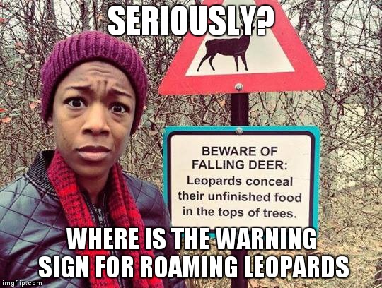 Beware of falling Deer | SERIOUSLY? WHERE IS THE WARNING SIGN FOR ROAMING LEOPARDS | image tagged in beware of falling deer,memes | made w/ Imgflip meme maker