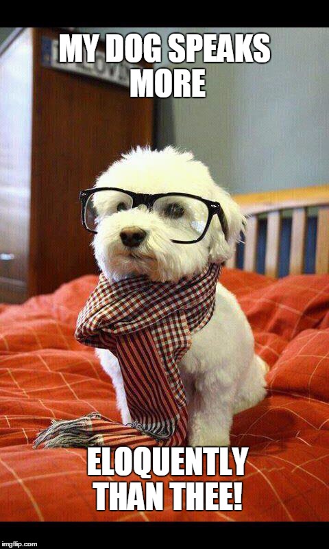 Intelligent Dog | MY DOG SPEAKS MORE; ELOQUENTLY THAN THEE! | image tagged in memes,intelligent dog | made w/ Imgflip meme maker