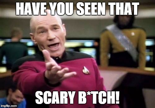 Picard Wtf Meme | HAVE YOU SEEN THAT SCARY B*TCH! | image tagged in memes,picard wtf | made w/ Imgflip meme maker