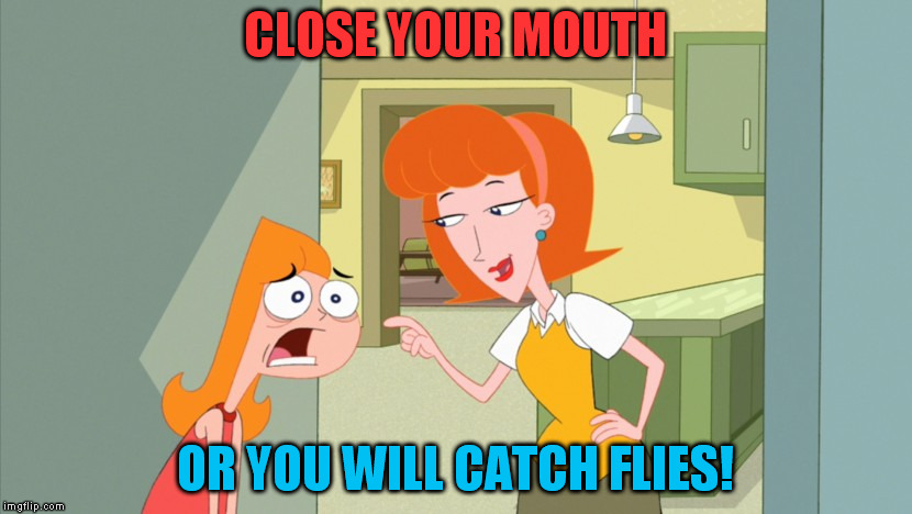 CLOSE YOUR MOUTH; OR YOU WILL CATCH FLIES! | image tagged in mom,candace flynn,phineas and ferb | made w/ Imgflip meme maker