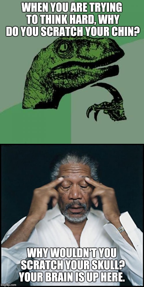 The wisdom of Oswald Harvey | WHEN YOU ARE TRYING TO THINK HARD, WHY DO YOU SCRATCH YOUR CHIN? WHY WOULDN'T YOU SCRATCH YOUR SKULL? YOUR BRAIN IS UP HERE. | image tagged in philosoraptor,morgan freeman,funny meme,deep thoughts,thinking,drew carey | made w/ Imgflip meme maker