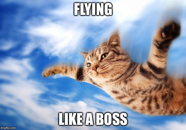 Flying-cat | FLYING; LIKE A BOSS | image tagged in flying-cat | made w/ Imgflip meme maker