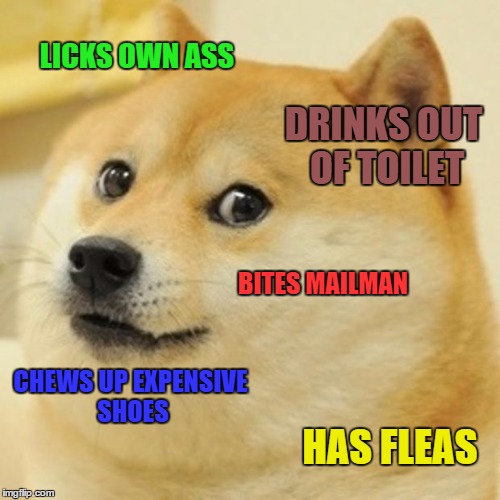 man's best friend | LICKS OWN ASS; DRINKS OUT OF TOILET; BITES MAILMAN; CHEWS UP EXPENSIVE SHOES; HAS FLEAS | image tagged in memes,doge | made w/ Imgflip meme maker