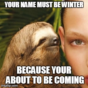 Whisper Sloth Meme | YOUR NAME MUST BE WINTER BECAUSE YOUR ABOUT TO BE COMING | image tagged in memes,whisper sloth | made w/ Imgflip meme maker