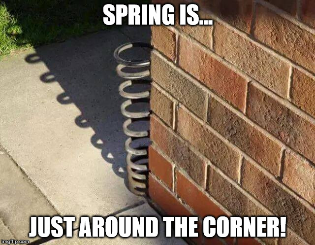 Spring is just around the corner. | SPRING IS... JUST AROUND THE CORNER! | image tagged in soltice,spring,summer,warmer season scumbag steve,winter,fall | made w/ Imgflip meme maker