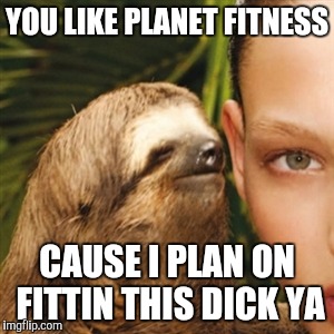 Whisper Sloth Meme Imgflip