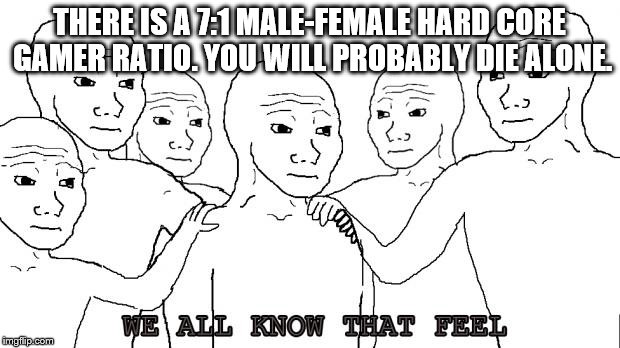 i know that feel bro | THERE IS A 7:1 MALE-FEMALE HARD CORE GAMER RATIO. YOU WILL PROBABLY DIE ALONE. | image tagged in i know that feel bro | made w/ Imgflip meme maker