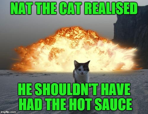 cat fart     funny cat | NAT THE CAT REALISED; HE SHOULDN'T HAVE HAD THE HOT SAUCE | image tagged in cat explosion | made w/ Imgflip meme maker