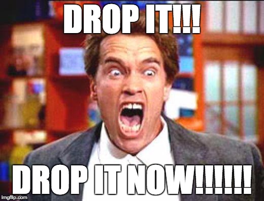 me listening to dubstep | DROP IT!!! DROP IT NOW!!!!!! | image tagged in arnold,dubstep,drop,bass,bass drop,drop it now | made w/ Imgflip meme maker