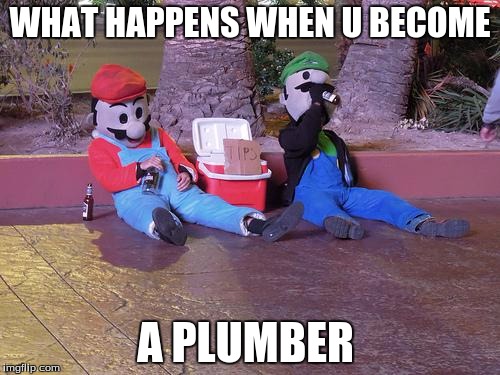 mario and luigi drunk | WHAT HAPPENS WHEN U BECOME; A PLUMBER | image tagged in mario and luigi drunk | made w/ Imgflip meme maker