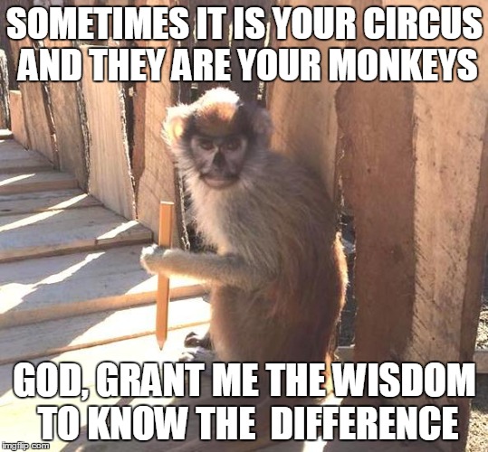 Sometime it is your circus and they are your monkeys | SOMETIMES IT IS YOUR CIRCUS AND THEY ARE YOUR MONKEYS; GOD, GRANT ME THE WISDOM TO KNOW THE  DIFFERENCE | image tagged in not my circus,not my monkeys,monkeys,circus,wisdom,wisdom to know the difference | made w/ Imgflip meme maker