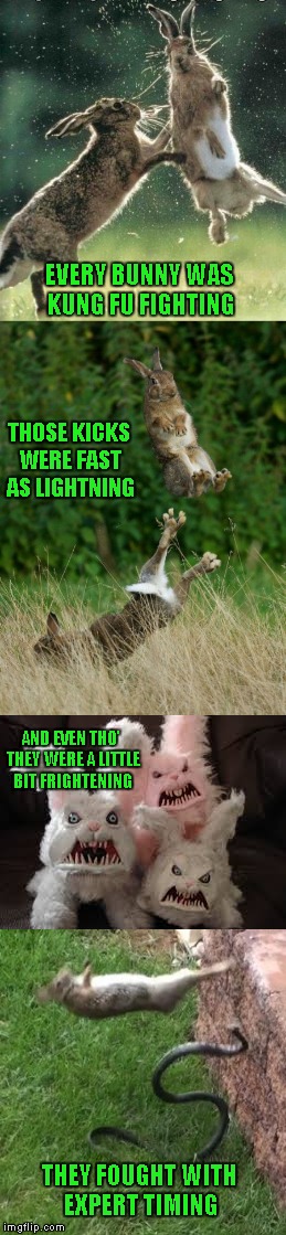 "Every bunny was Kung Fu fighting" | EVERY BUNNY WAS KUNG FU FIGHTING; THOSE KICKS WERE FAST AS LIGHTNING; AND EVEN THO' THEY WERE A LITTLE BIT FRIGHTENING; THEY FOUGHT WITH EXPERT TIMING | image tagged in every bunny was kung fu fighting,kung fu rabbits,memes,funny,funny animals,rabbits | made w/ Imgflip meme maker