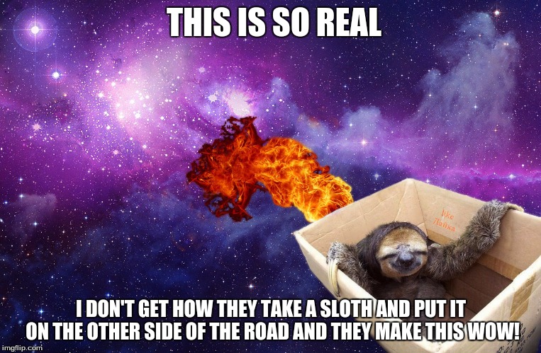 Flying Sloth | THIS IS SO REAL; I DON'T GET HOW THEY TAKE A SLOTH AND PUT IT ON THE OTHER SIDE OF THE ROAD AND THEY MAKE THIS WOW! | image tagged in flying,memes | made w/ Imgflip meme maker