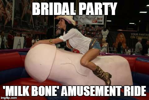 BRIDAL PARTY; 'MILK BONE' AMUSEMENT RIDE | image tagged in camp ripley officer club | made w/ Imgflip meme maker
