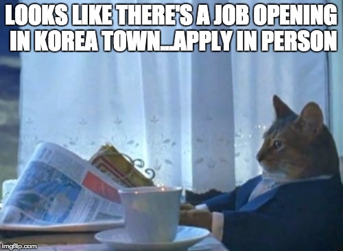 Not Long For This World Cat | LOOKS LIKE THERE'S A JOB OPENING IN KOREA TOWN...APPLY IN PERSON | image tagged in i should buy a boat cat,korea,food | made w/ Imgflip meme maker