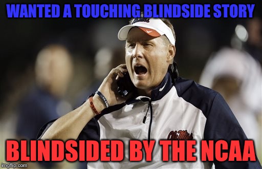 WANTED A TOUCHING BLINDSIDE STORY; BLINDSIDED BY THE NCAA | image tagged in hugh freeze ole miss | made w/ Imgflip meme maker