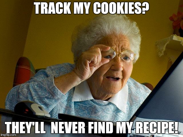 Grandma Finds The Internet | TRACK MY COOKIES? THEY'LL  NEVER FIND MY RECIPE! | image tagged in memes,grandma finds the internet | made w/ Imgflip meme maker
