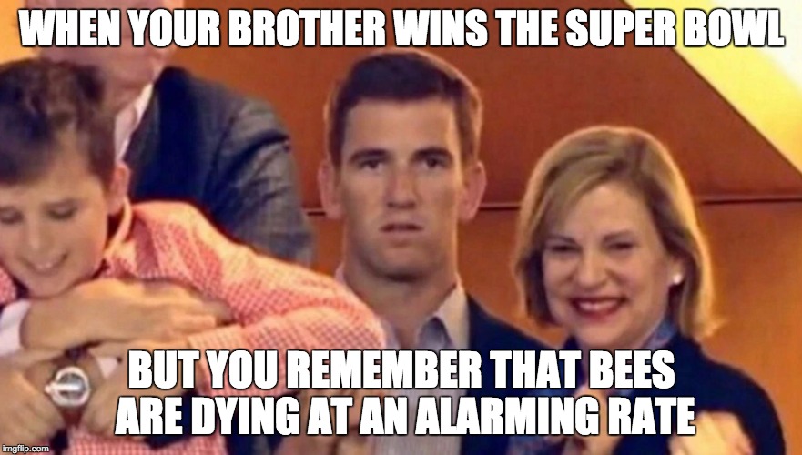 WHEN YOUR BROTHER WINS THE SUPER BOWL; BUT YOU REMEMBER THAT BEES ARE DYING AT AN ALARMING RATE﻿ | image tagged in dead eyes eli | made w/ Imgflip meme maker