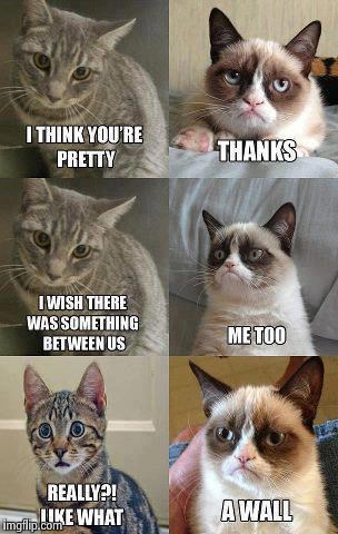 Grumpy cat | image tagged in memes,grumpy cat | made w/ Imgflip meme maker