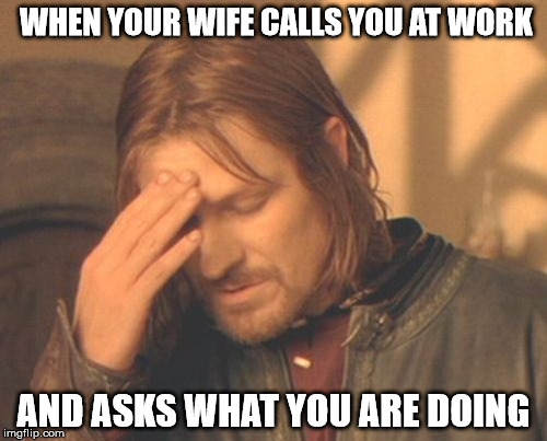 Frustrated Boromir Meme | WHEN YOUR WIFE CALLS YOU AT WORK; AND ASKS WHAT YOU ARE DOING | image tagged in memes,frustrated boromir | made w/ Imgflip meme maker