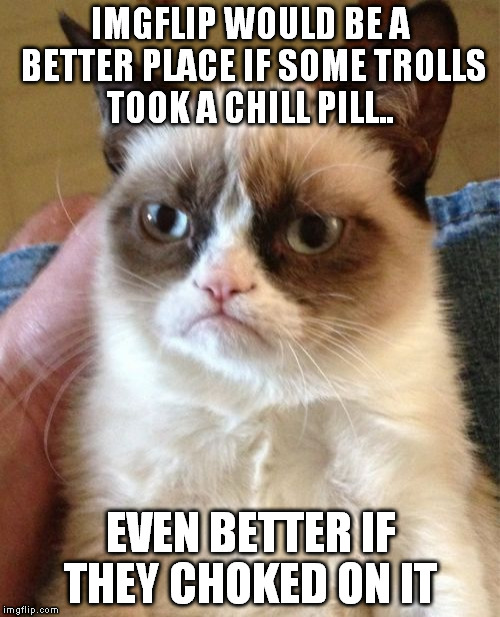 Trolls need to chill..  | IMGFLIP WOULD BE A BETTER PLACE IF SOME TROLLS TOOK A CHILL PILL.. EVEN BETTER IF THEY CHOKED ON IT | image tagged in memes,grumpy cat | made w/ Imgflip meme maker
