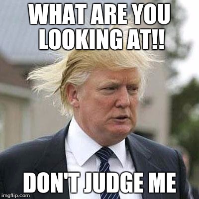 Donald Trump | WHAT ARE YOU LOOKING AT!! DON'T JUDGE ME | image tagged in donald trump | made w/ Imgflip meme maker